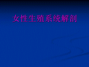 女性生殖系统解剖.ppt