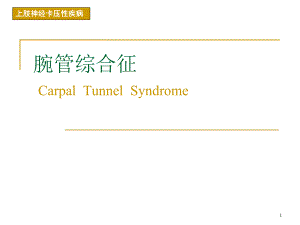 腕管综合症ppt幻灯片.ppt