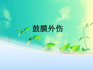 鼓膜外伤完整.ppt