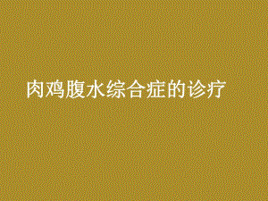 肉鸡腹水综合症的诊疗.ppt