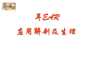 耳部解剖及生理.ppt.ppt