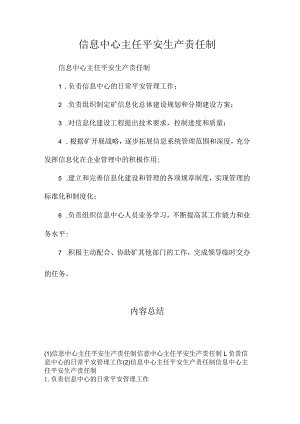最新整理信息中心主任安全生产责任制.docx