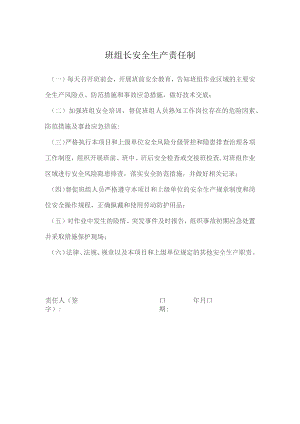 班组长安全生产责任制.docx