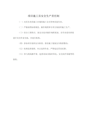 项目施工员安全生产责任制.docx