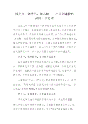 抓亮点、创特色、铸品牌——小学创建特色品牌工作总结.docx