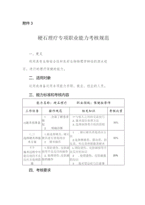 砭石理疗专项职业能力考核规范.docx