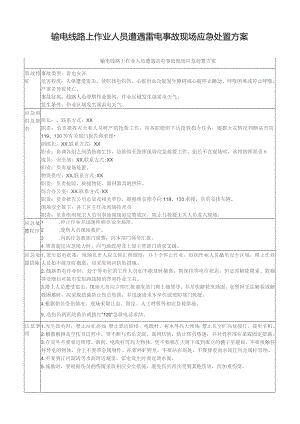 输电线路上作业人员遭遇雷电事故现场应急处置方案.docx