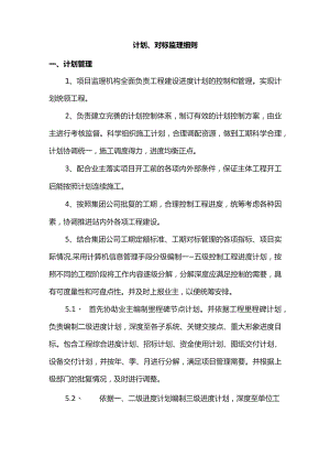 计划、对标监理细则.docx