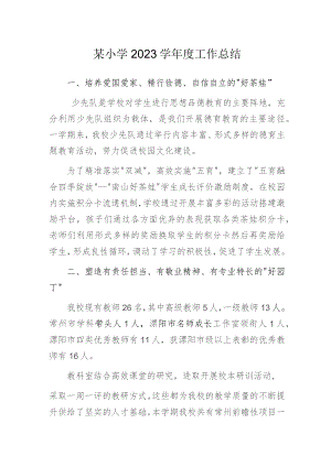 某小学2023学年度工作总结.docx