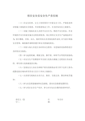 项目安全员安全生产责任制.docx