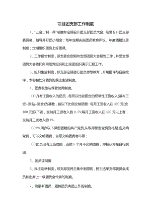项目团支部工作制度.docx