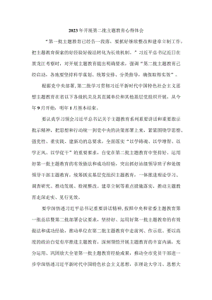 2023年开展第二批主题教育心得体会2.docx