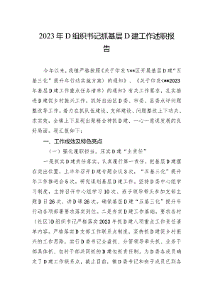 2023年党组织书记抓基层党建工作述职报告.docx
