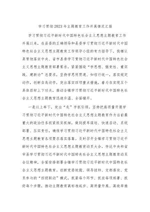学习贯彻2023年主题教育工作开展情况汇报.docx