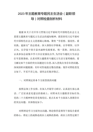 2023年主题教育专题民主生活会（副职领导） 对照检查剖析材料.docx
