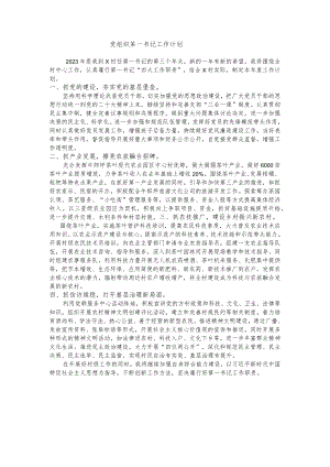 党组织第一书记工作计划.docx