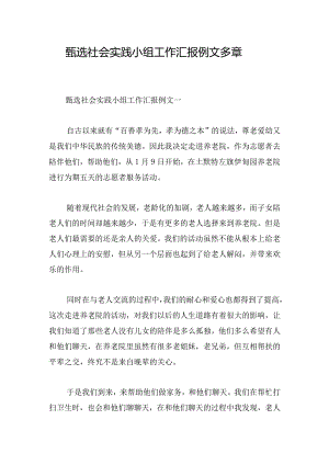 甄选社会实践小组工作汇报例文多章.docx