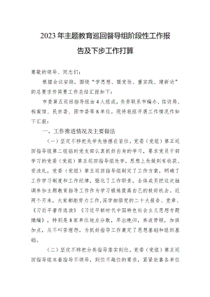 2023年主题教育巡回督导组阶段性工作报告及下步工作打算.docx