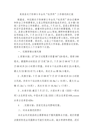 某某县关于防御5号台风“杜苏芮”工作情况的汇报 .docx