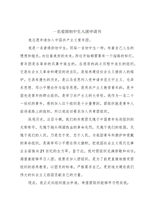 一名爱国初中生入团申请书.docx