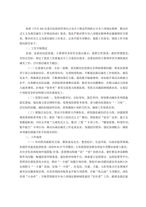 关于贯彻执行中央八项规定精神整治形式主义的报告.docx