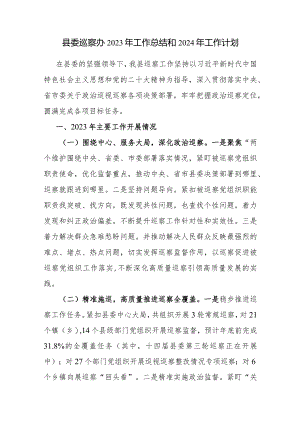 县委巡察办2023-2024年度工作总结下一年工作计划.docx