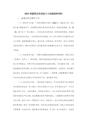 2023专题民主生活会个人检视剖析材料.docx
