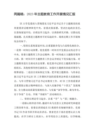 两篇稿：2023年主题教育工作开展情况汇报.docx