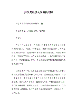 开学典礼校长演讲稿集锦.docx