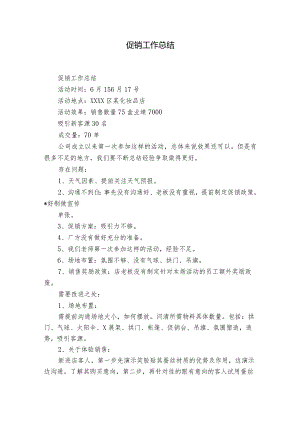 促销工作总结.docx