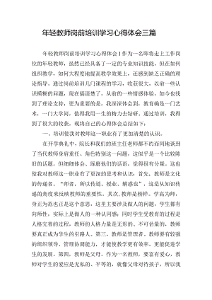 年轻教师岗前培训学习心得体会三篇.docx