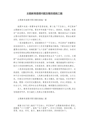 主题教育查摆问题及整改措施三篇.docx