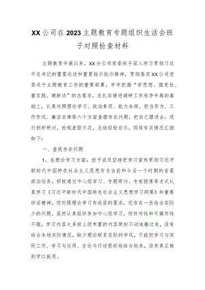 XX公司在2023主题教育专题组织生活会班子对照检查材料.docx