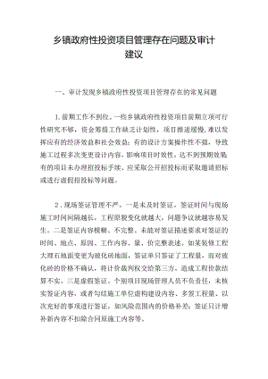 乡镇政府性投资项目管理存在问题及审计建议.docx