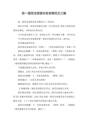 新一届党支部表态发言稿范文三篇.docx