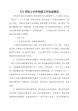 XX学校上半年党建工作完成情况.docx