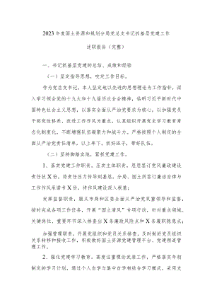 2023年度国土资源和规划分局党总支书记抓基层党建工作述职报告.docx
