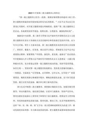 2023年开展第二批主题教育心得体会.docx