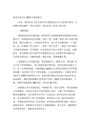 某党支部书记2023-2024年述职报告.docx