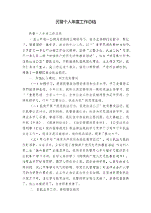 民警个人年度工作总结.docx