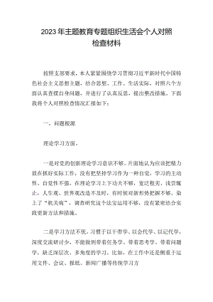 2023年主题教育专题组织生活会个人对照检查材料.docx