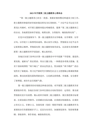 2023年开展第二批主题教育心得体会1.docx