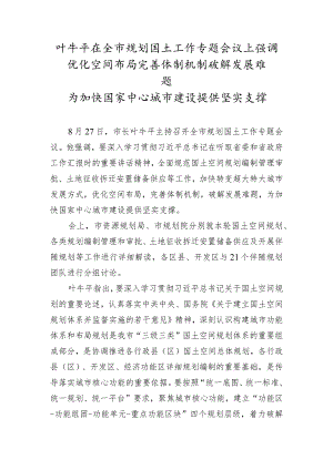 叶牛平在全市规划国土工作专题会议上强调.docx