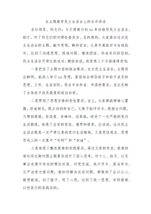 在主题教育民主生活会上的点评讲话.docx