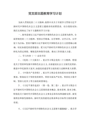党支部主题教育学习计划.docx