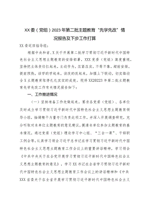 XX委（党组）2023年第二批主题教育“先学先改”情况报告及下步工作打算.docx