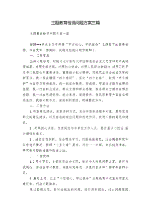 主题教育检视问题方案三篇.docx