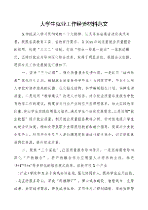 大学生就业工作经验材料高校学院总结汇报报告.docx