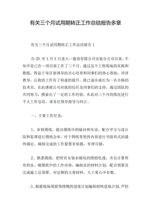 有关三个月试用期转正工作总结报告多章.docx