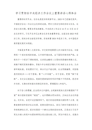 学习贯彻在中央经济工作会议上重要讲话心得体会.docx